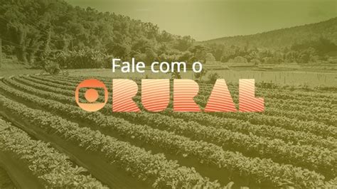 g1 com br globo rural hoje|Globo Rural: assista agora! .